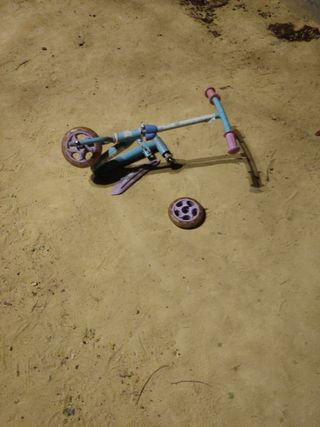 patín de la frausen