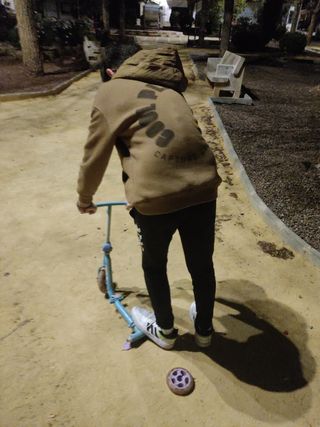 patín de la frausen