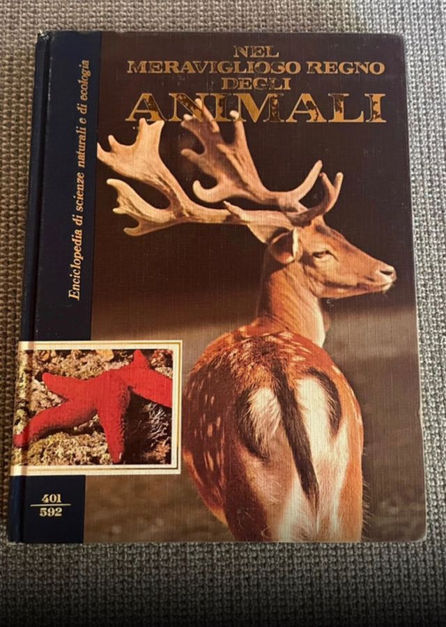 Enciclopedia nel meraviglioso regno degli animali