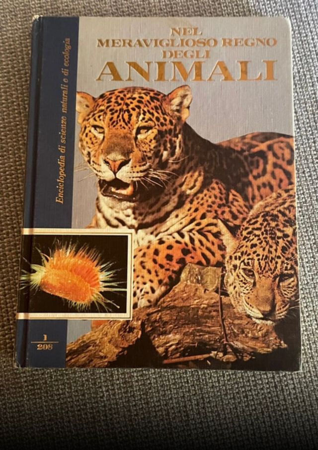 Enciclopedia nel meraviglioso regno degli animali