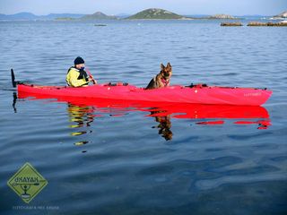 Kayak Desmontable, modular - Alemania