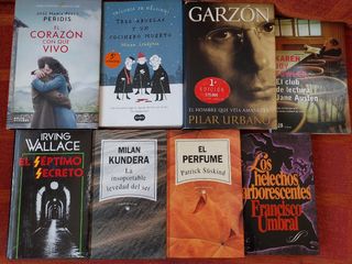 Libro. Novela.
