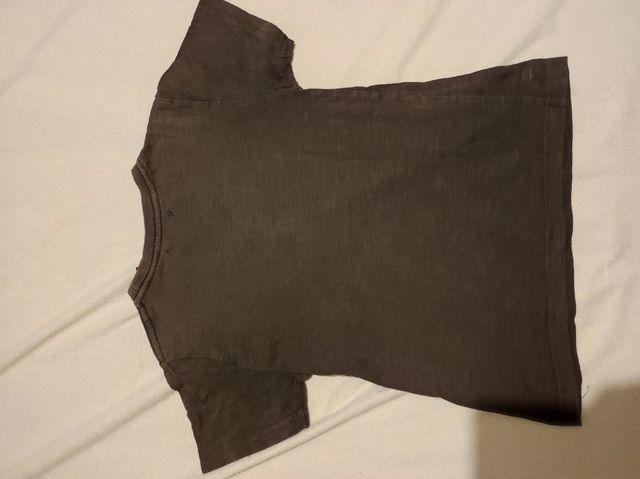 Camiseta Jurassic Park