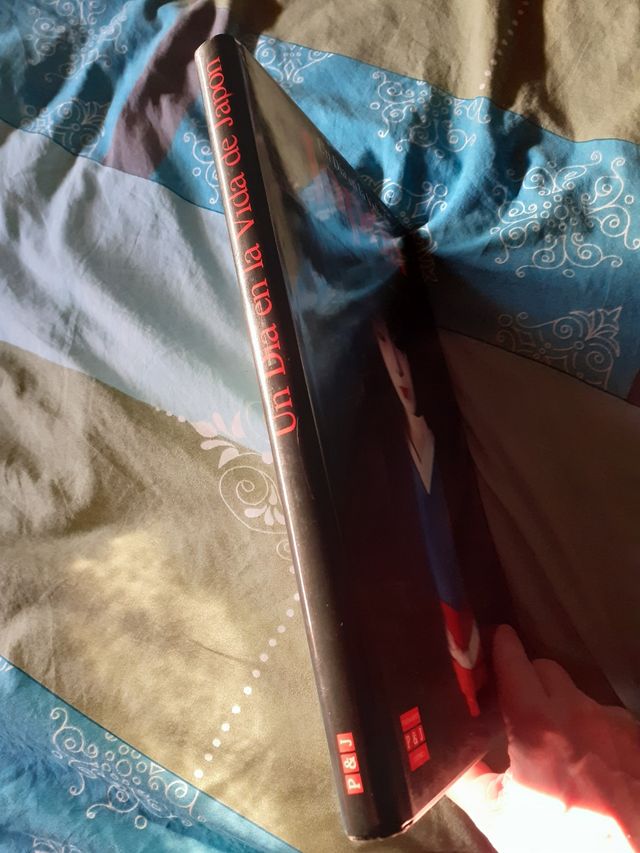 Un dia en la vida de Japón