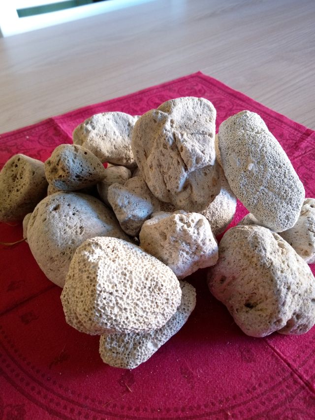 spugne, pietre pomice e radici