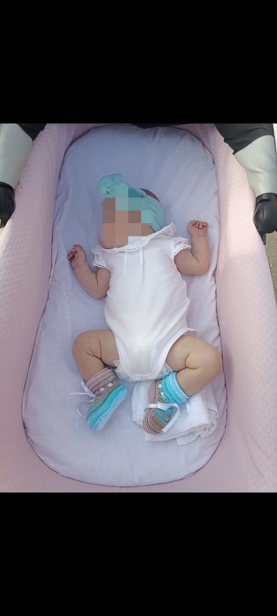 Cochecito y silleta Anex type