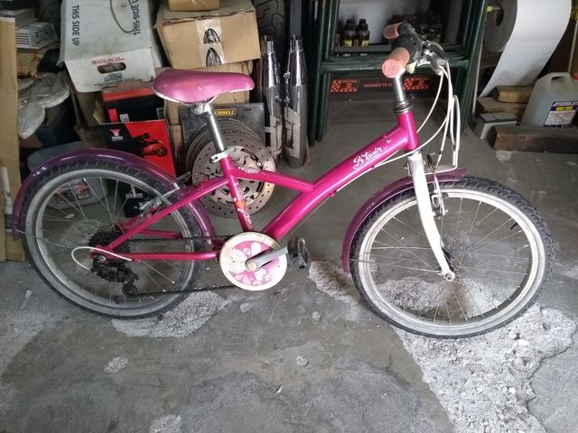 Bicicleta de niña de 20 pulgadas