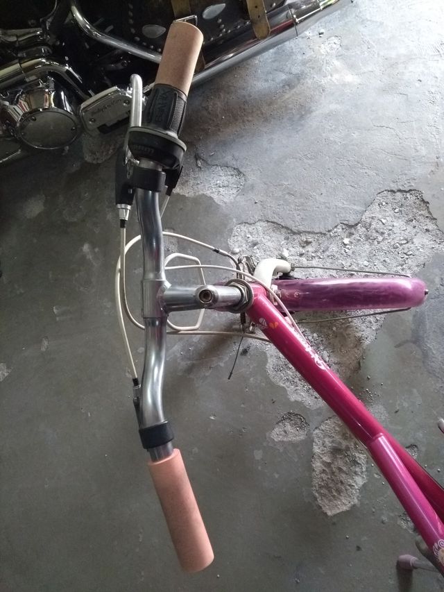 Bicicleta de niña de 20 pulgadas