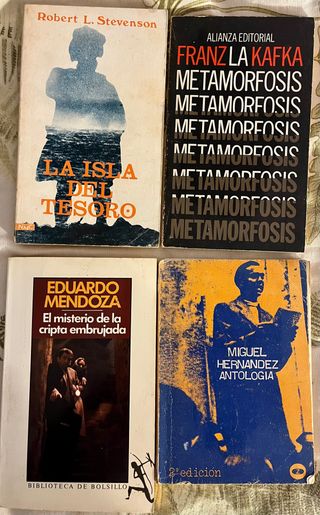 Literatura. Novelas. Libros 