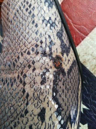 zapato vintage de piel efecto serpiente. 