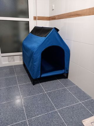 Casita perro