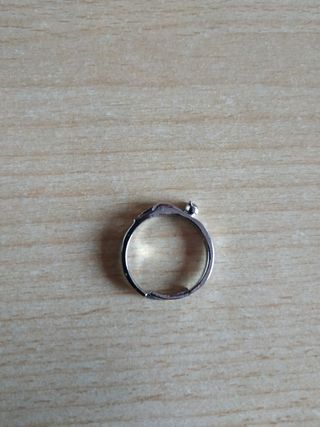 Conjunto colgante, pendientes y anillo de gato