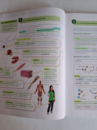 Biología Geología 3 ESO Castillay León Santillana