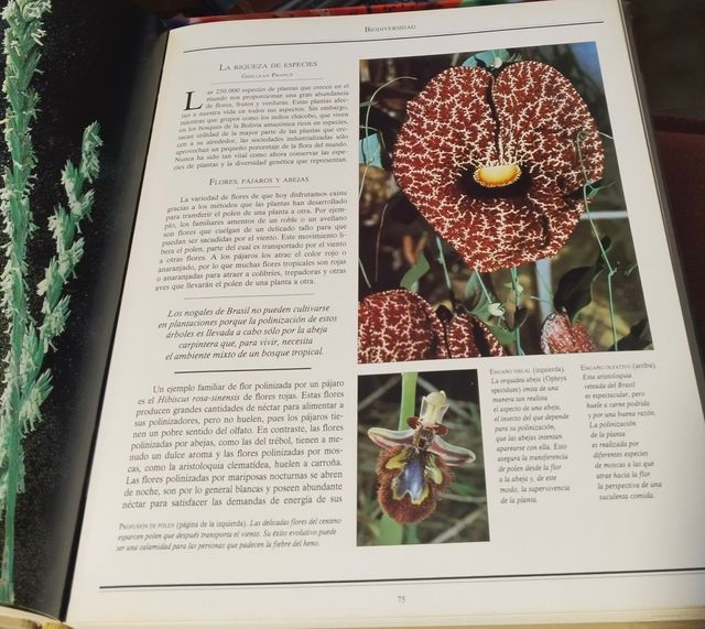 Lote 3 libros de historia y enciclopedias.