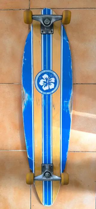 Skate longboard monopatín surf