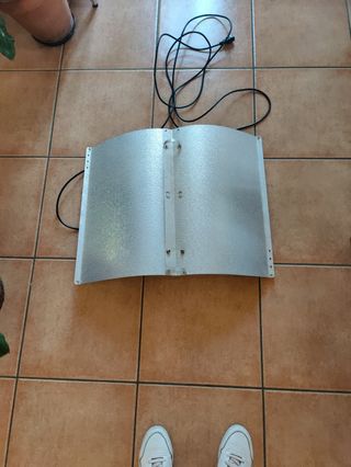 campana indoor