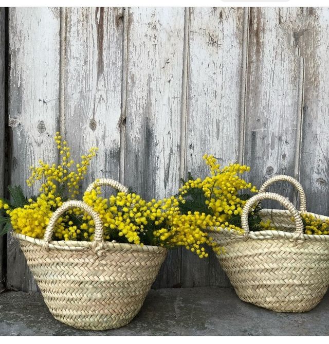 lote  8 cestos palma 