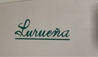 Zapatos destalonados fiesta