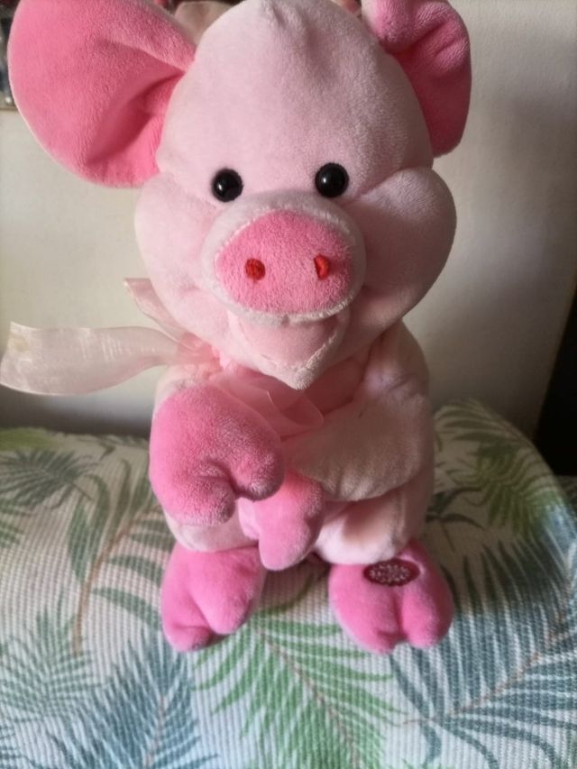 un cerdito que habla solo