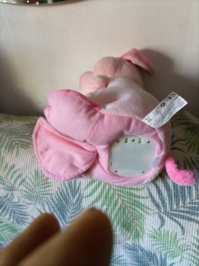 un cerdito que habla solo