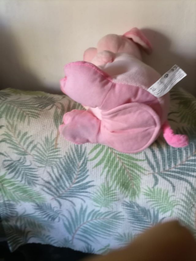 un cerdito que habla solo