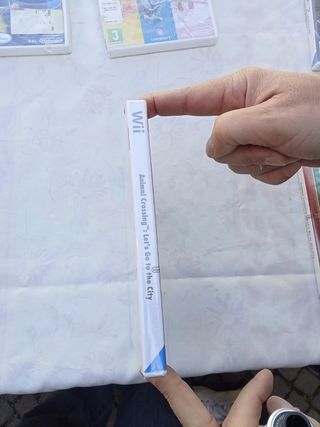 animal crossing per wii