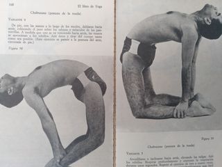 El libro de yoga