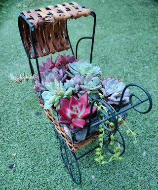 Centro original con suculentas de colores