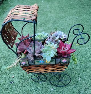 Centro original con suculentas de colores