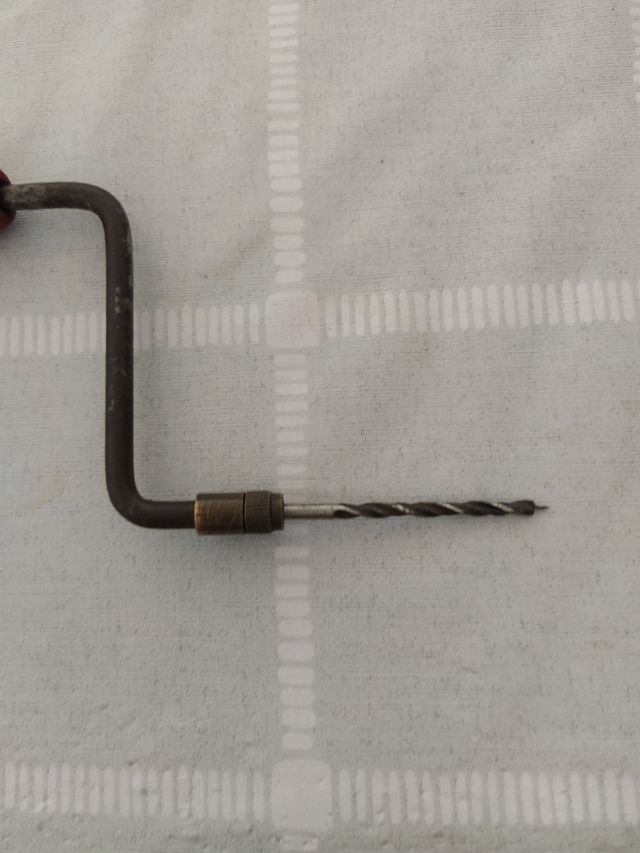 Vongola antica da collezione