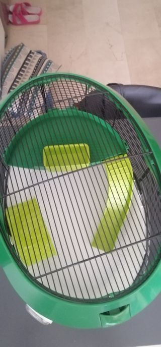 Jaula hámster