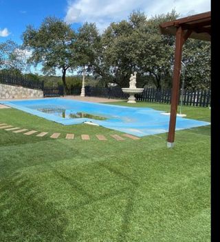 ♻️Césped PROMOCIONES