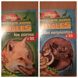 libros animales disney
