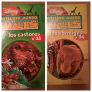 libros animales disney