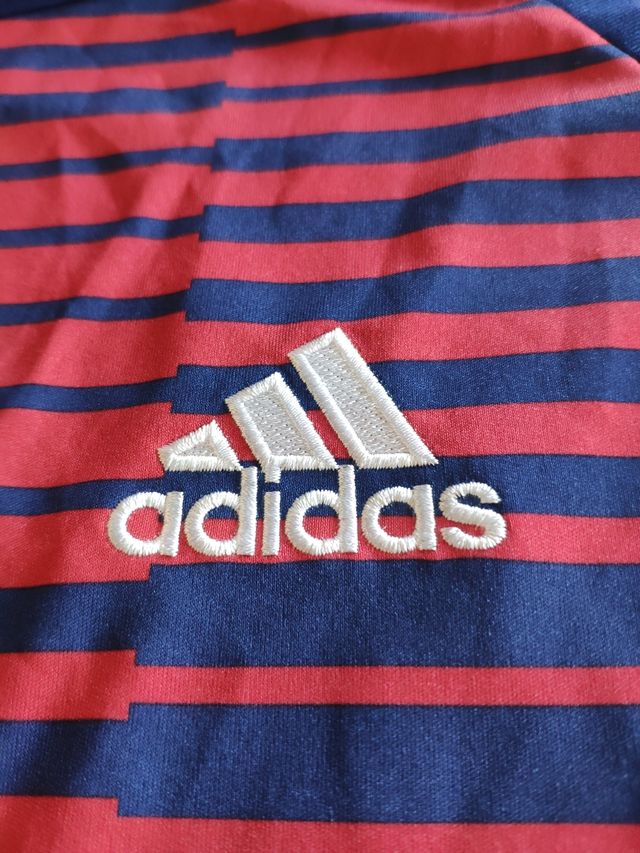 Camiseta oficial de Japón 2022 Calentamiento L. 
