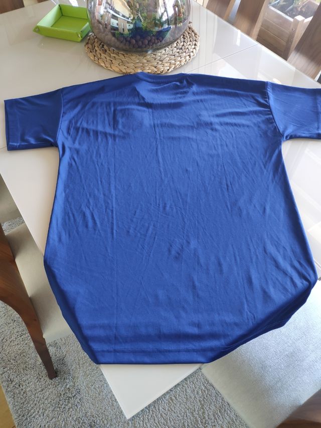 Camiseta oficial de Japón 2022 Calentamiento L. 
