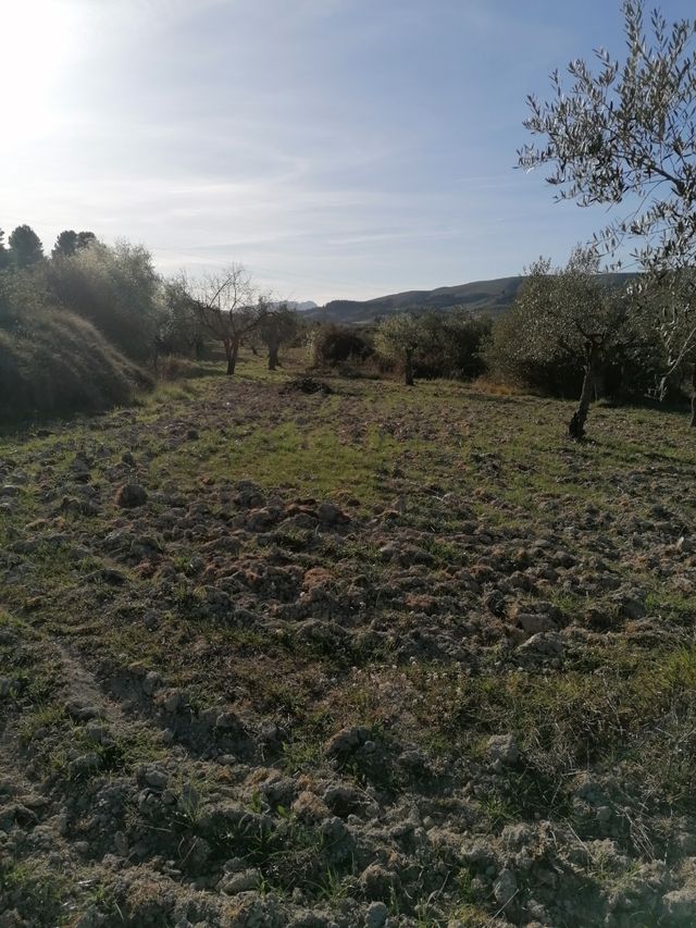 Terreno en venta rustico