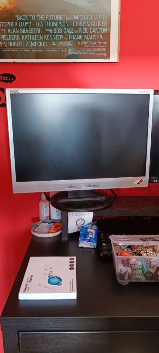 Pantalla LCD 19" NEC