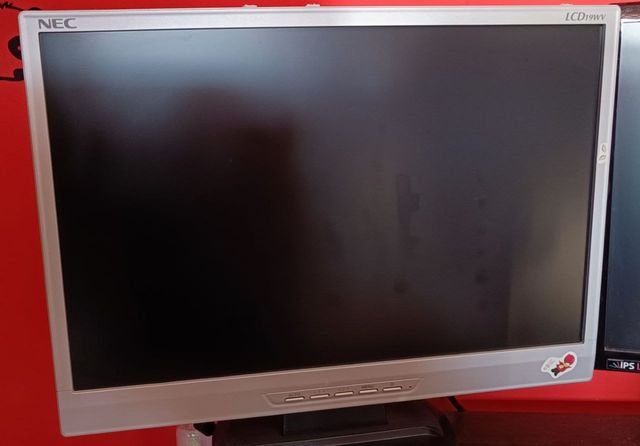 Pantalla LCD 19" NEC