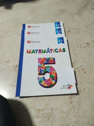 Vicens Vives Matemáticas de 5 primaria