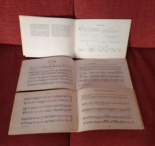 Método Kodály de Flauta