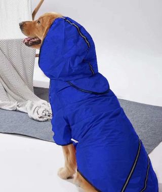 Impermeable para la mascota