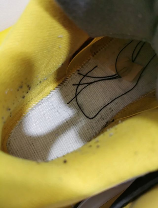 Jordan 4 retro Lightning 2021