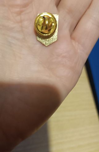 Nuovo - Spilla Federazione Italiana Gioco Calcio