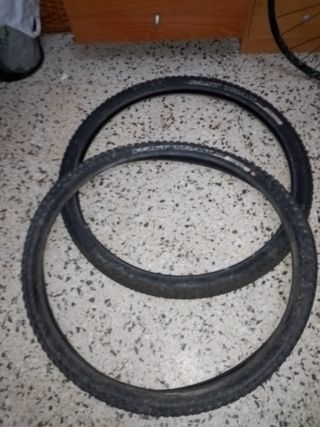 2gomas de 29pulgadas specialized 