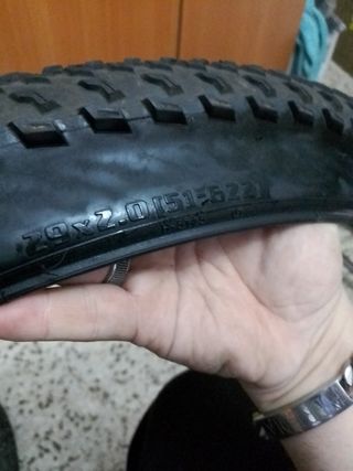 2gomas de 29pulgadas specialized 