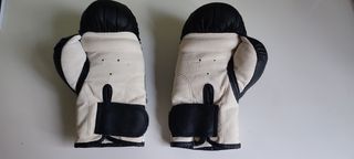 Guantes y Saco de Boxeo