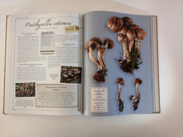 El gran libro de las setas. Editorial Larousse