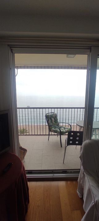 mosquitera super económicas