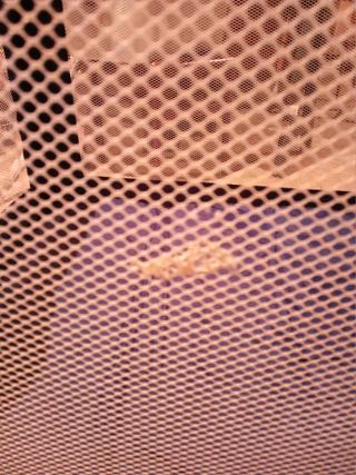 Cuna-parque viaje Jane